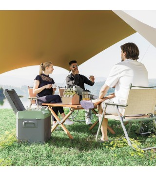 Nevera Portátil Eléctrica 24,2L Refrigerador de Coche 12V-220V -20℃ a +20 ℃ con Pantalla Luz LED 60,2x33,4x41,4 cm Gris