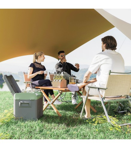 Nevera Portátil Eléctrica 24,2L Refrigerador de Coche 12V-220V -20℃ a +20 ℃ con Pantalla Luz LED 60,2x33,4x41,4 cm Gris