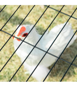 Jaula para Gallinas de Acero