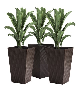Conjunto de 3 Macetas