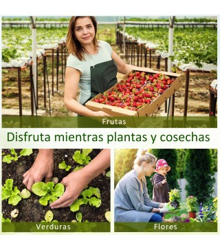 Invernadero de Jardín