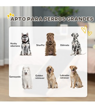 Rampa para Perros