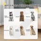 Rampa para Perros Rampa para Perros