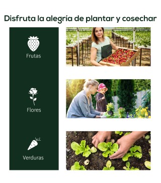 Invernadero Caseta