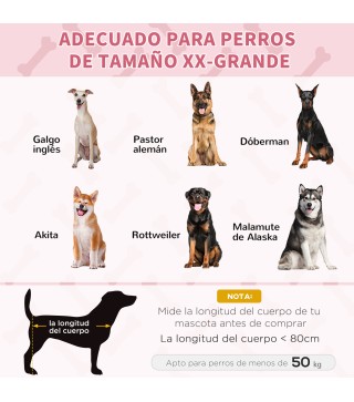 Cama Elevada para Perros