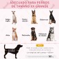 Cama Elevada para Perros Cama Elevada para Perros