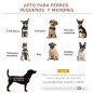 Cama Elevada para Mascotas Cama Elevada para Mascotas