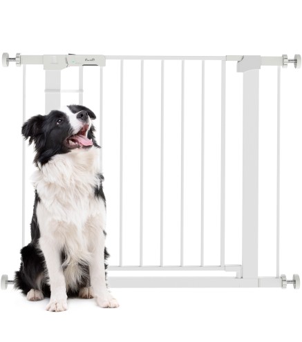 Barrera de Seguridad de Perros