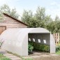 Invernadero de Túnel 6x3x2 m Invernadero de Jardín con Puerta Enrollable 12 Ventanas Cubierta de PE 140 g/m² y Metal Galvanizado