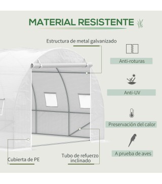 Invernadero de Túnel