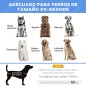 Cama Elevada para Perros Cama Elevada para Perros