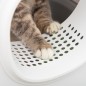 Arenero para Gatos
