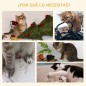 Árbol para Gatos Árbol para Gatos