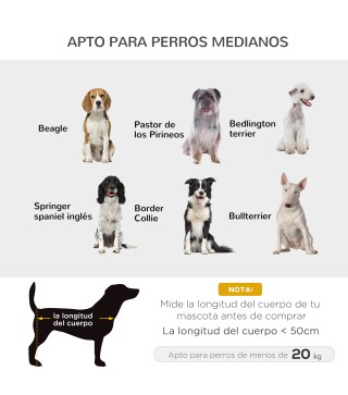 Cama Elevada para Perros