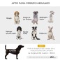 Cama Elevada para Perros