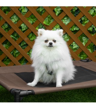 Cama Elevada para Perros