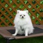 Cama Elevada para Perros