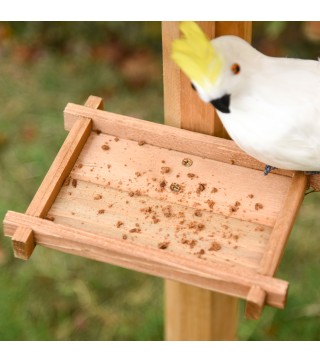 Comedero para Pájaros de Pie