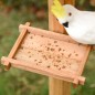 Comedero para Pájaros de Pie Comedero para Pájaros de Pie