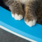 Caja de Arena para Gatos Caja de Arena para Gatos