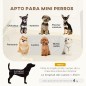 Cama para Perros Cama para Perros