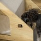 Casa para Perros de Madera Casa para Perros de Madera