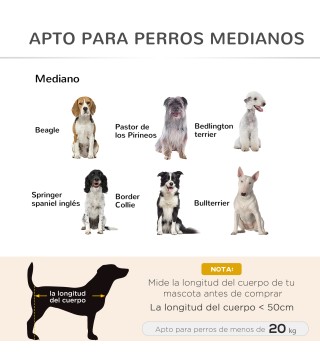 Cama Elevada para Mascotas