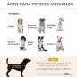Cama Elevada para Mascotas Cama Elevada para Mascotas