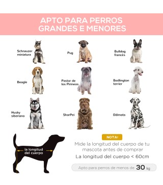 Cama Elevada para Perros