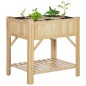 Huerto Urbano de Madera Huerto Urbano de Madera