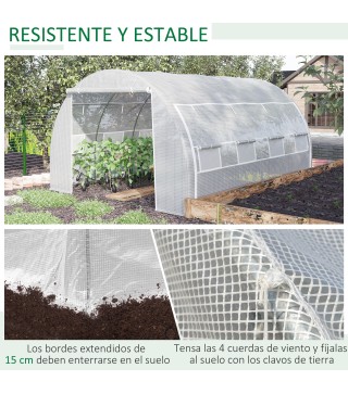 Invernadero de Túnel