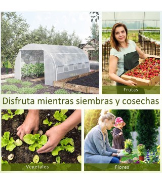 Invernadero de Túnel