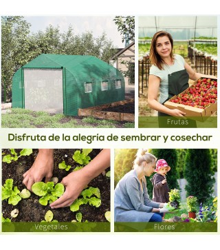 Invernadero de Túnel