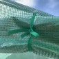 Invernadero de Túnel Invernadero de Túnel