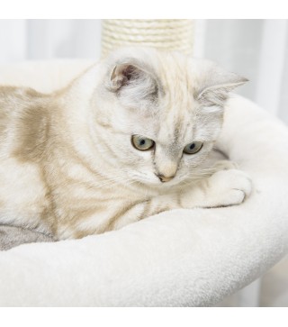 Árbol Rascador para Gatos