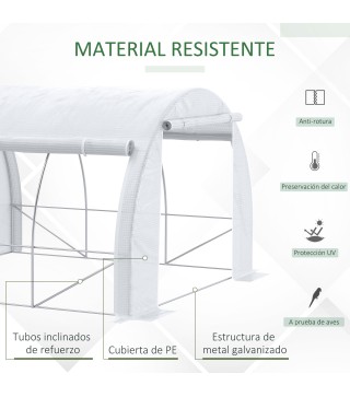 Invernadero de Túnel