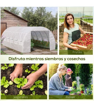 Invernadero de Túnel