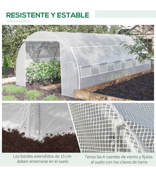 Invernadero de Túnel