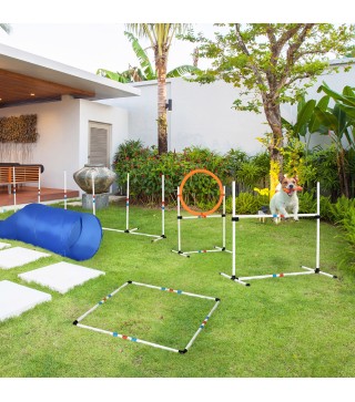 Conjunto de Entrenamiento para Mascotas