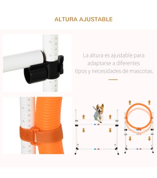 Conjunto de Entrenamiento para Mascotas