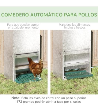 Comedero para Gallinas