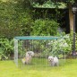 Parque de Juegos para Perros Parque de Juegos para Perros