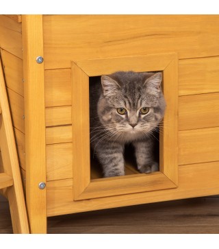 Caseta para Gatos