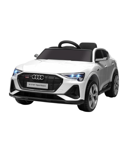 Coche Eléctrico