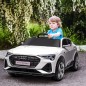 Coche Eléctrico