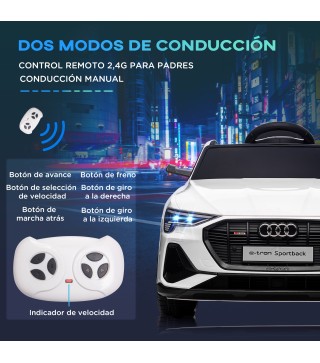 Coche Eléctrico