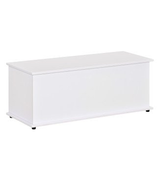 Baúl de Almacenamiento