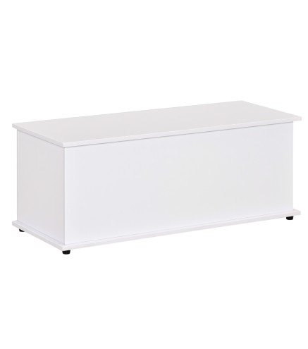 Baúl de Almacenamiento