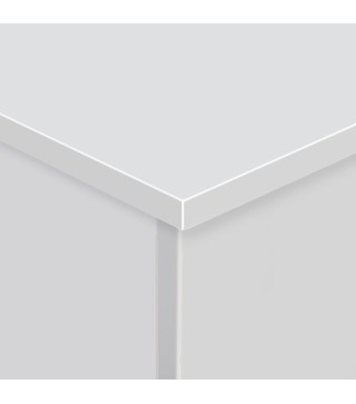 Baúl de Almacenamiento