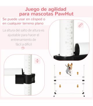Set de Entrenamiento de Agilidad para Perros